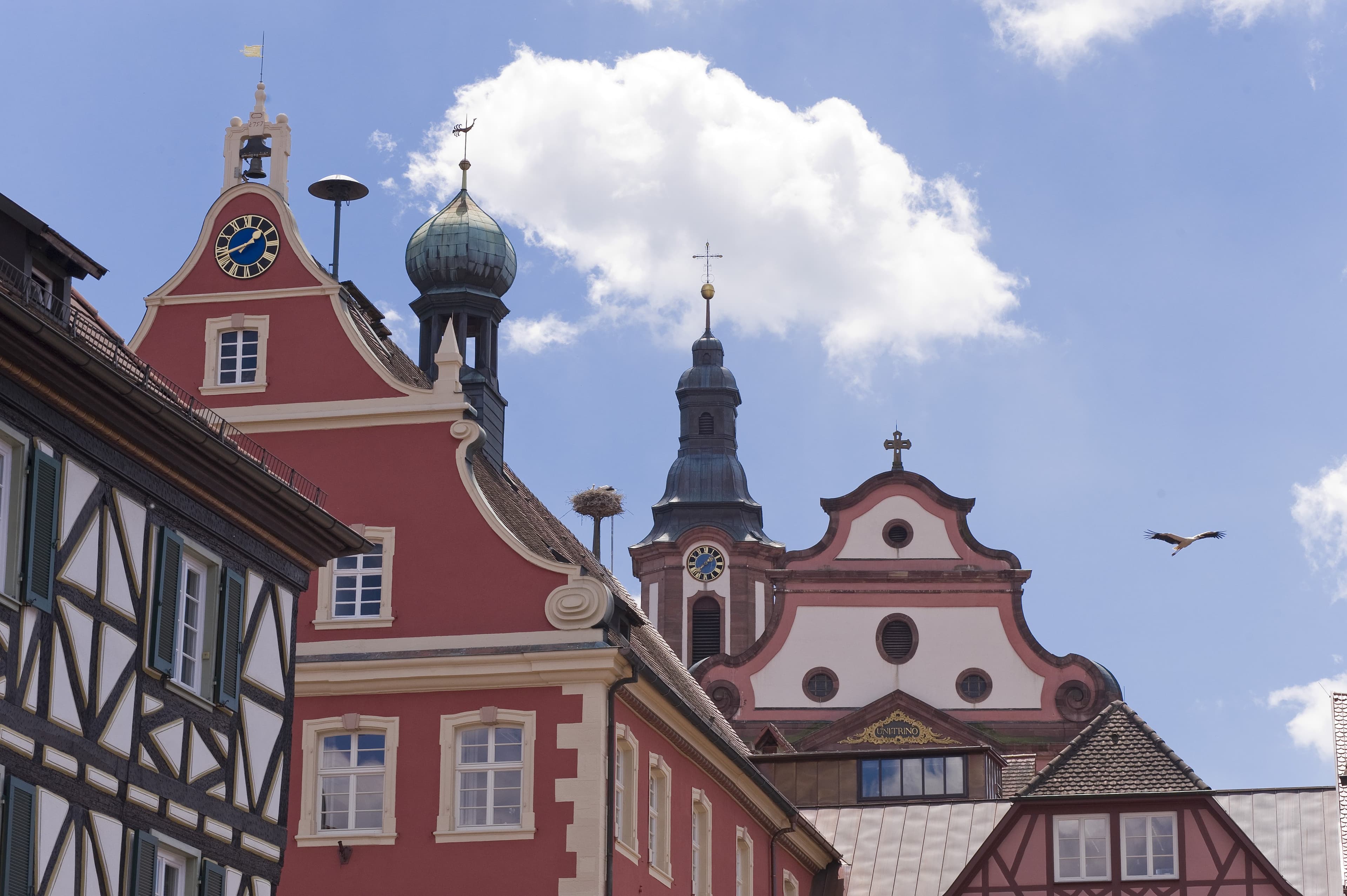 Dachlandschaft Barockstadt Ettenheim