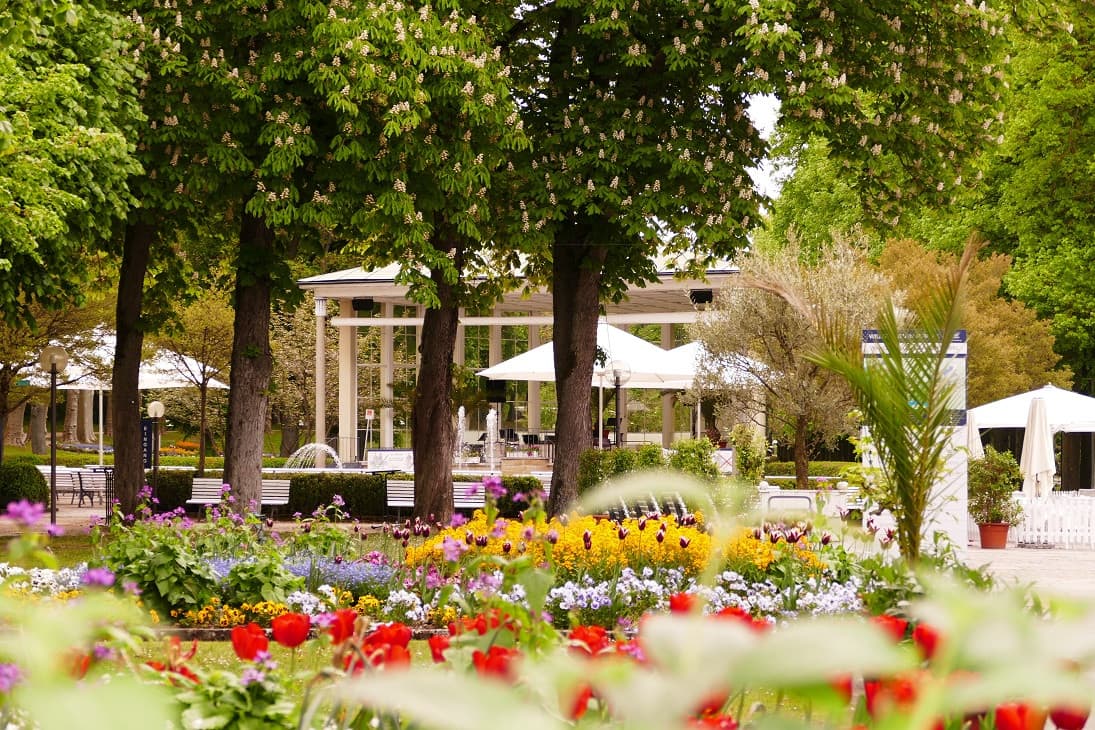 Blick in den Kurpark in Bad Mergentheim. Im Vordergrund sind blühende Blumen und im Hintergrund ein großer Pavillon zu sehen.