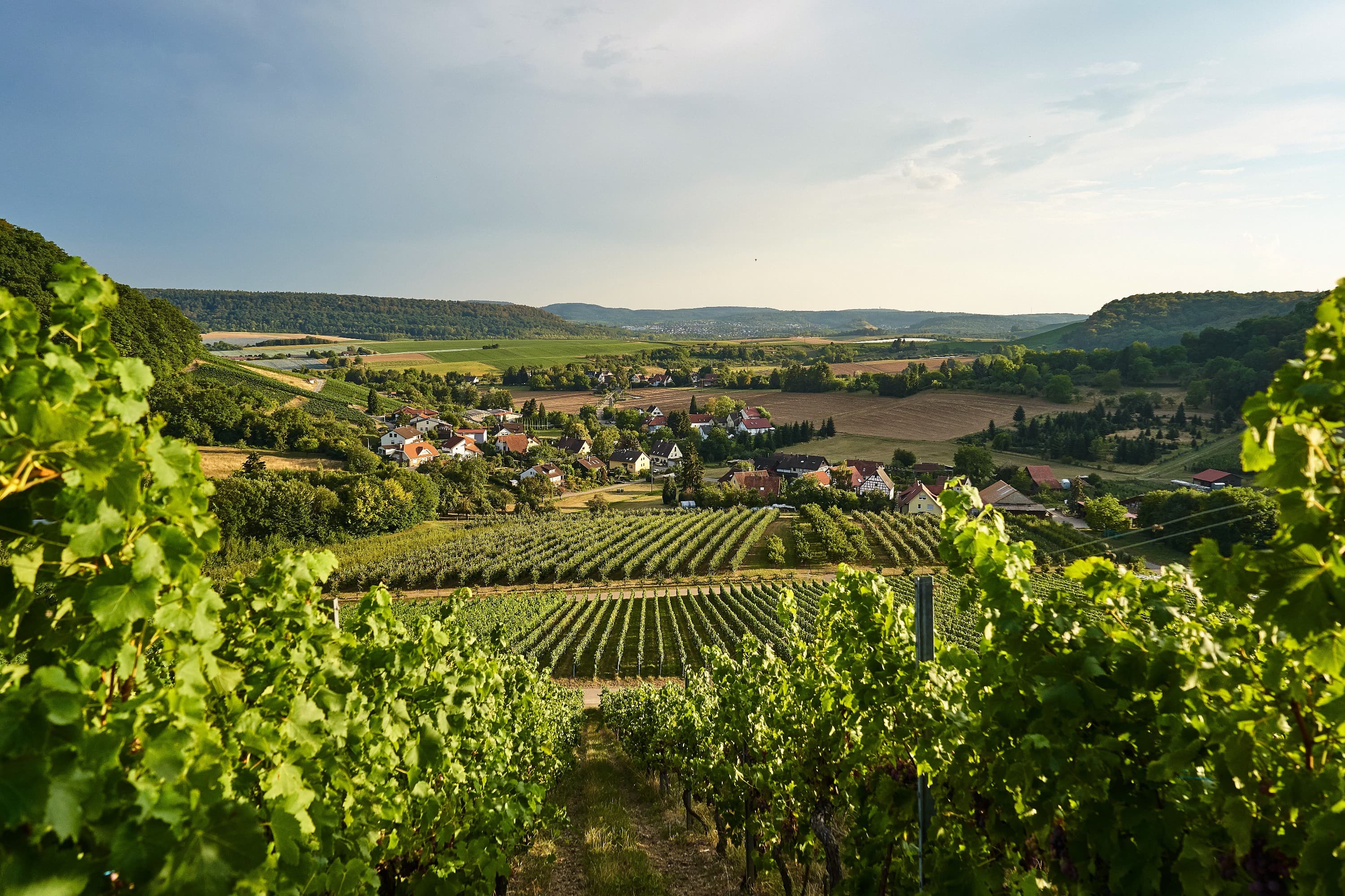 Weinbaugemeinde Eberstadt | Weinsberger Tal | HeilbronnerLand