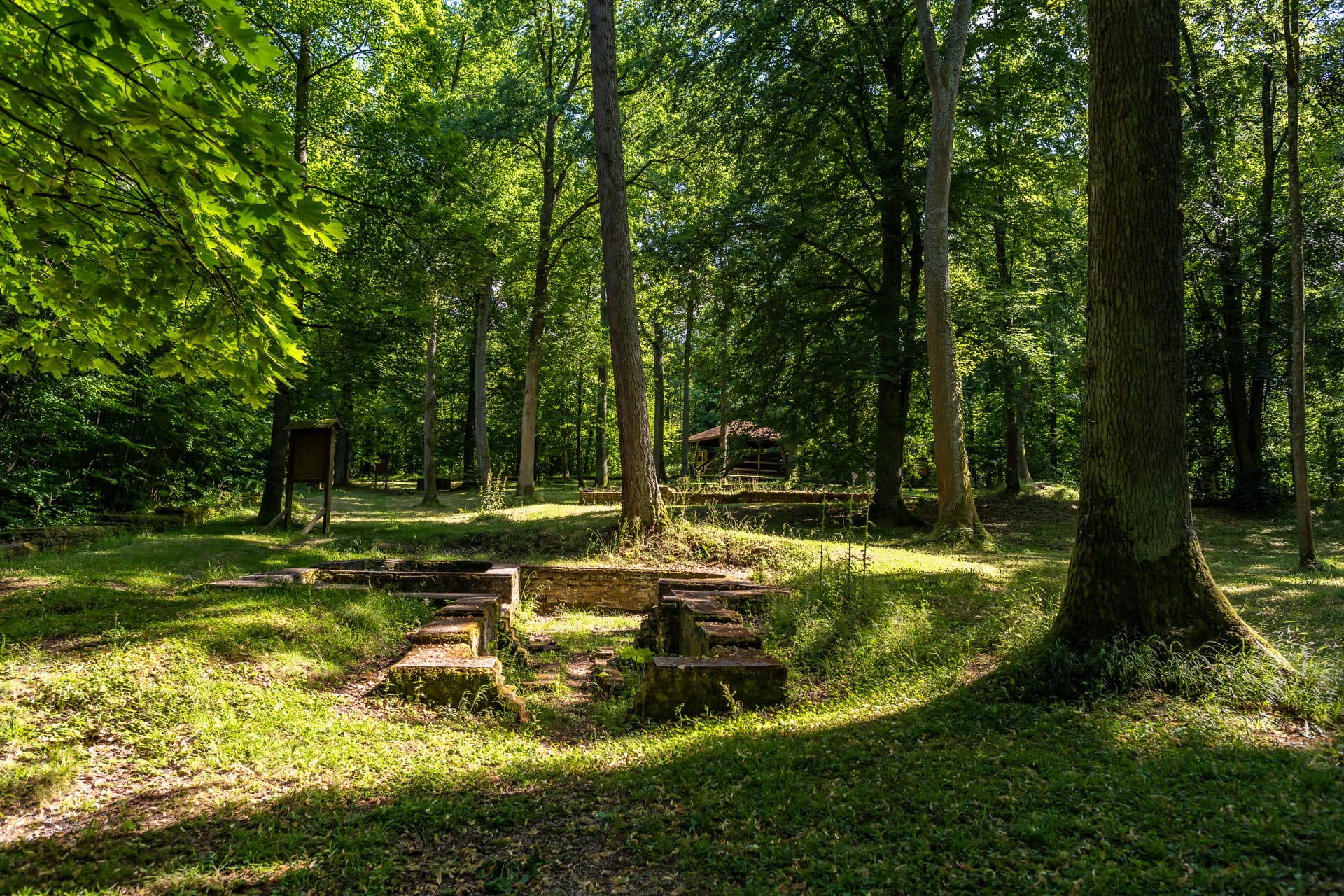 Römische Mauerreste im sonnigen Wald mit viel Wiese