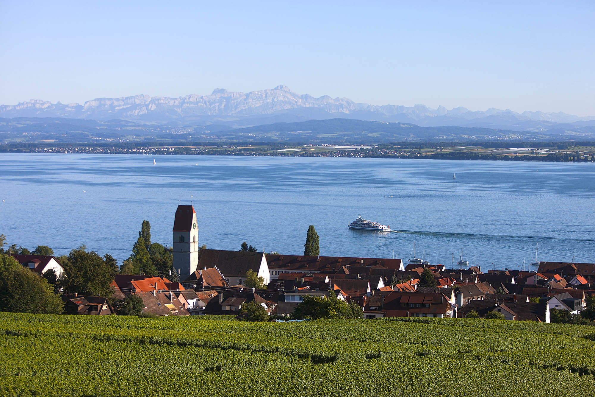 Hagnau am Bodensee Winzerverein