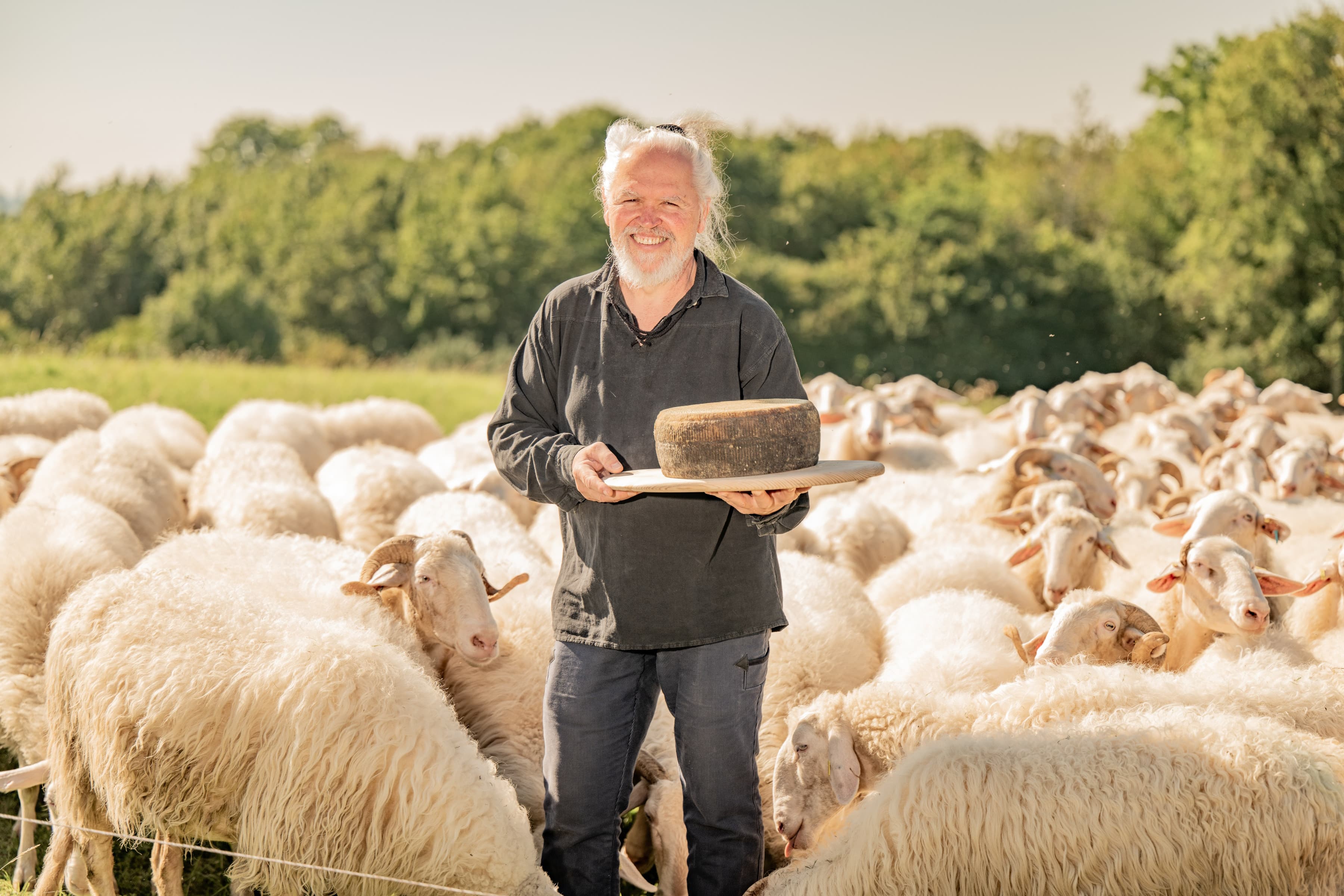 Langenburger Schafskäserei