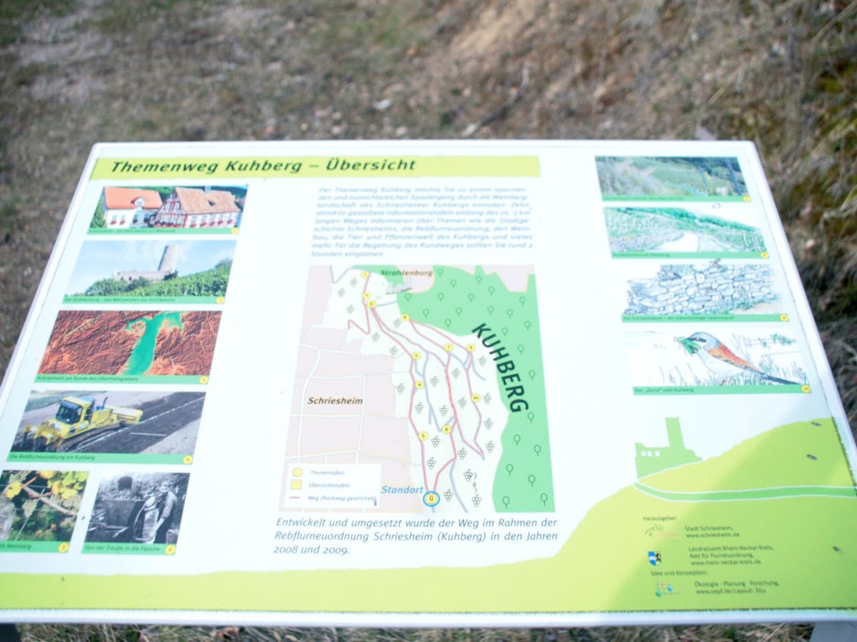 Auf den Informationstafeln finden Sie viele Informationen zur Geschichte der Stadt, dem Weinbau und Wissenswertes zu Flora und Fauna.